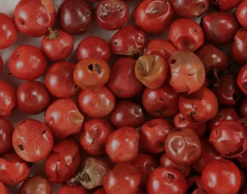 Pink Peppercorn