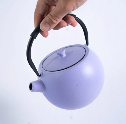 Tilted Round Design 28oz Cast Iron Tea Pot by Urban Tokyo