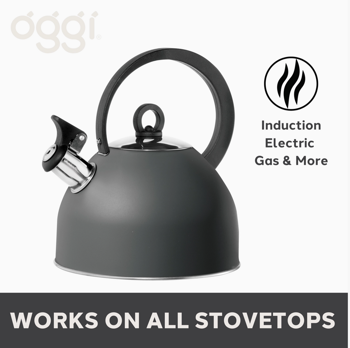 Whistling 64 Ounce Stovetop Kettle by Oggi