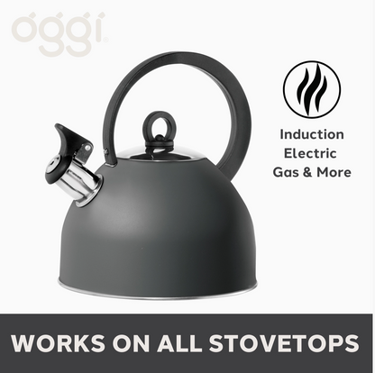 Whistling 64 Ounce Stovetop Kettle by Oggi