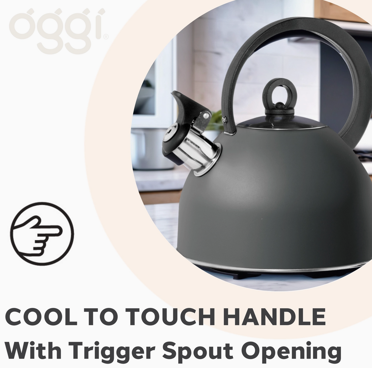 Whistling 64 Ounce Stovetop Kettle by Oggi