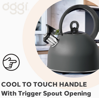 Whistling 64 Ounce Stovetop Kettle by Oggi