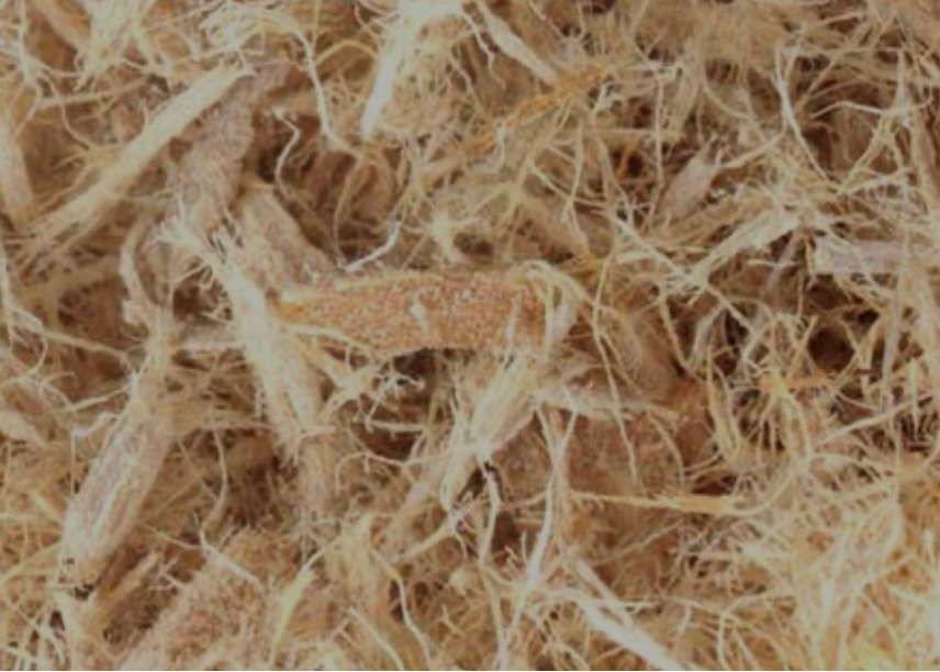 Slippery Elm. Organic