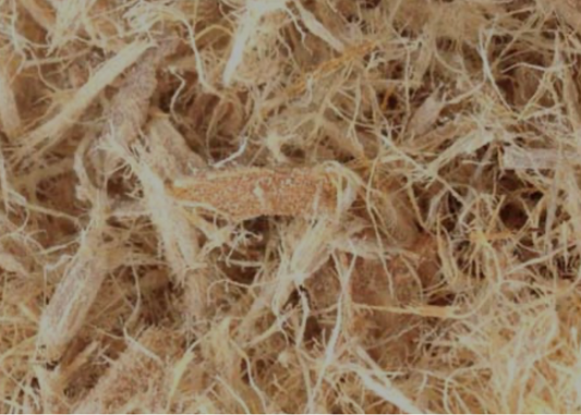 Slippery Elm. Organic